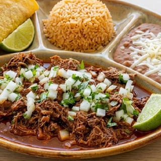 #22 Birria Plate
